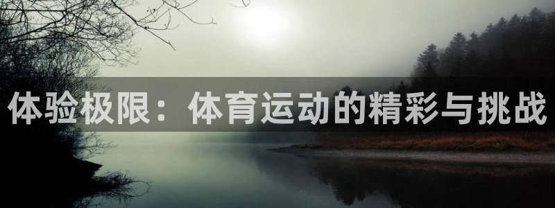 JJB竞技宝官方正版app集团简介:体验极限:体育运动的精彩